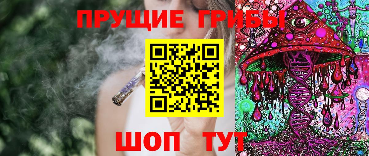 Галлюциногенные грибы Psilocybe  Галлюциногенные грибы прущие грибы  Вход с VPN  Дагестанские Огни 